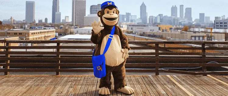 mailchimp