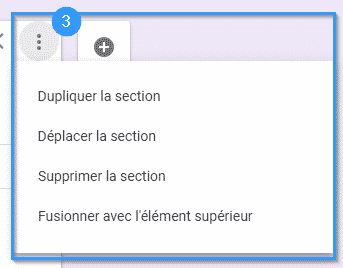 section-options-forms