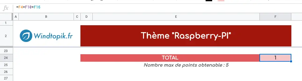 Calcul du total de la rubriques raspberry. Questionnaire Sheets