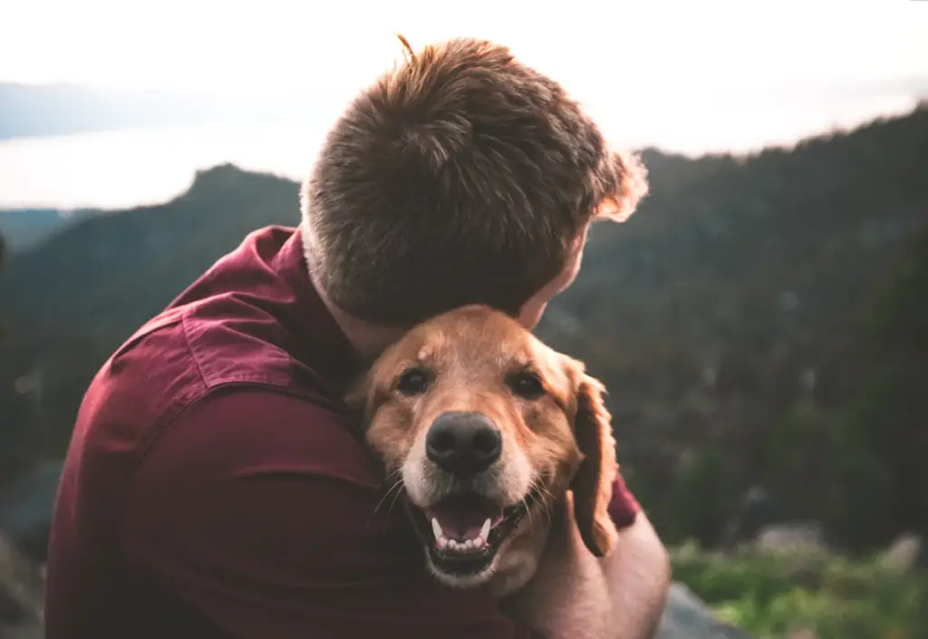 Dog hug