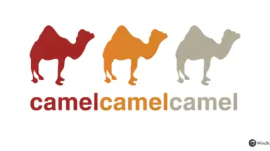 cover-camelcamelcamel-windtopik