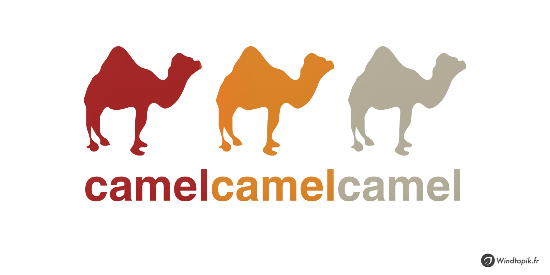 Faire des économies sur Amazon avec Camelcamelcamel