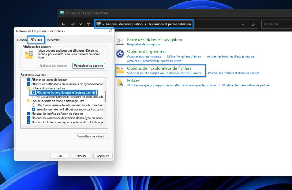 afficher fichier et dossiers cachés windows 11 - panneau de configuration