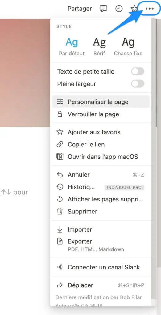 autres options de personnalisation d'une page notion