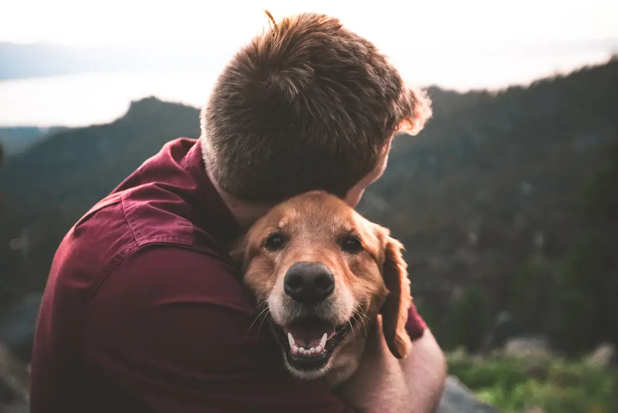 Les avantages d’un chien d’assistance PTSD